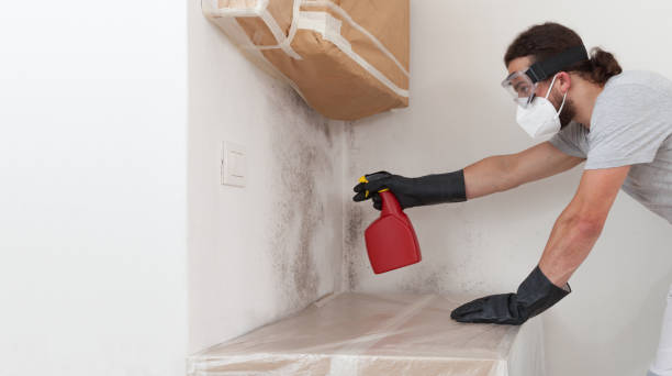 Professional Attic Mold Removal technician working in Wake Forest, NC