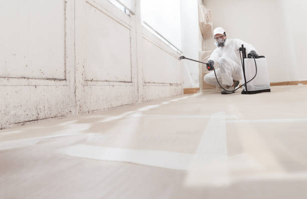 24/7 Emergency Attic Mold Removal experts in Wake Forest, NC
