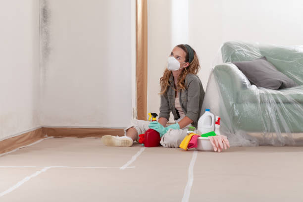 Trusted Mold Remediation service in Wake Forest, NC - Cheap Mold Removal